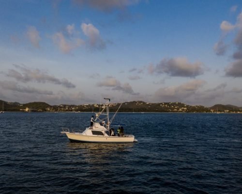 IMG-20251215-WA0067