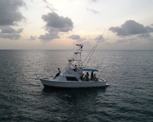 IMG-20251215-WA0072